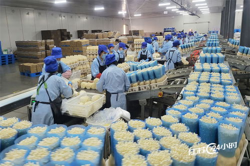 工廠化種植食用菌 規?；c日用雜品市場的融合新機遇